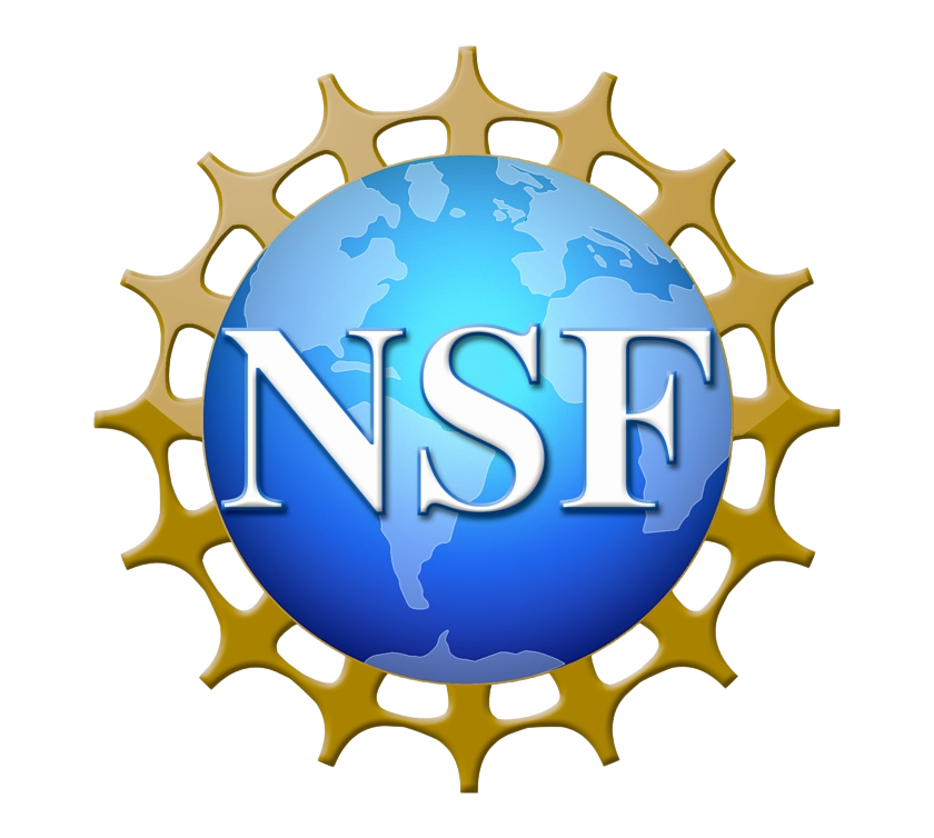 US National Science Foundation
